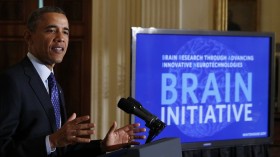 Obama Brain initiatve