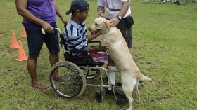 Luis Cruz with cerebral palsy, plays with Luna, a therapeutically trained dog, during a therapy session at the Colitas Foundation in Panama City September 22, 2012