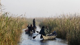 Marsh Arab Women