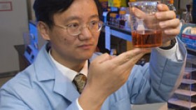 Percvial Zhang led the team that found a way to convert cellulose to starch 