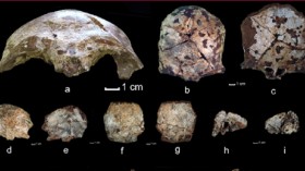 Researchers have discovered an ancient skull believed to be the oldest modern human fossil found in Southeast Asia.