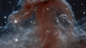 Looking like an apparition rising from whitecaps of interstellar foam, the iconic Horsehead Nebula has graced astronomy books ever since its discovery more than a century ago.