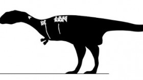 Dahalokely tokana (pronounced “dah-HAH-loo-KAY-lee too-KAH-nah”) is estimated to have been between nine and 14 feet long, and it lived around 90 million years ago.