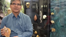 Professor Truman Simanjuntak holding an exact replica of an ancient stone hand axe excavated from East Java.