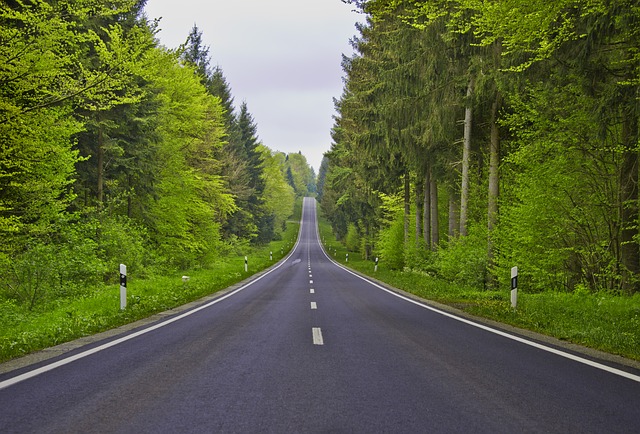 Is This Asphalt Organic The Future Of Green Roads Nature World News