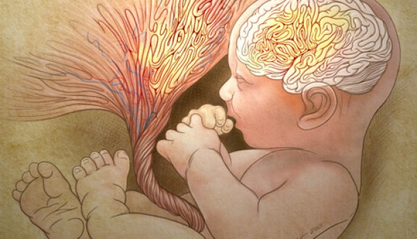 Abnormal placental folds signal autism risk at birth.