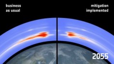 Future debris density at poles with and without active debris removal