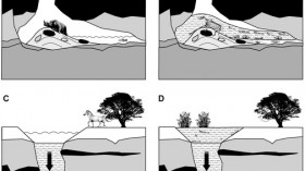 Tens of thousands of animals remains found in a cave in Spain have long puzzled scientists, but a recent study suggest a new theory on how so many animals wound up dead in a cave. 