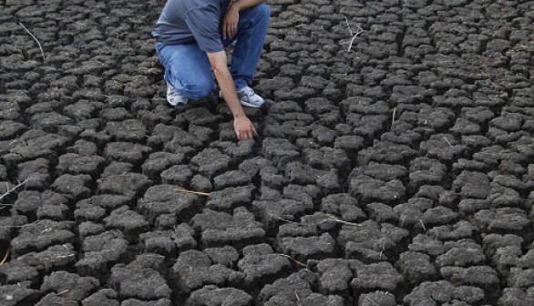 Curtis Wold, of the Kansas Wetlands Education Center, examines one of the dry pools at the Cheyenne Bottoms Wildlife Area, in Great Bend, Kansas August 7, 2012.