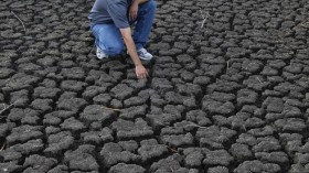 Curtis Wold, of the Kansas Wetlands Education Center, examines one of the dry pools at the Cheyenne Bottoms Wildlife Area, in Great Bend, Kansas August 7, 2012.
