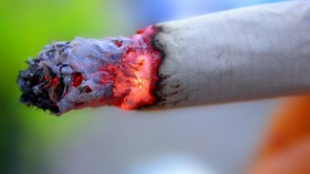 Study adds to evidence that cigarettes are gateway to marijuana