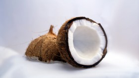 coconut