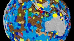 Still shot of the Earth's seafloor rendering from University of Sydney's School of Geosciences