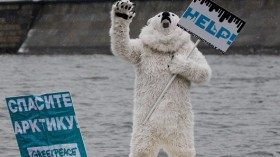 A climate change activist from Greenpeace dressed in a polar bear costume takes part in an event on the Moscow river, near the Kremlin in Moscow April 1, 2013