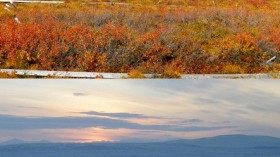 The U.S. Arctic LTER greenhouse in peak autumn and early winter.