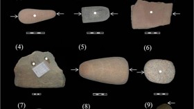 Stone tools examined for ancient starches. White dots and arrows indicate sampling locations.