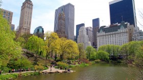 Central Park in New York City