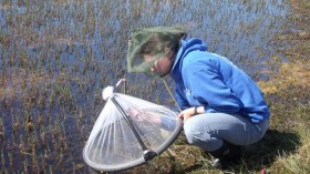 Dartmouth Arctic Mosquito Study