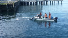 Elliot Bay Research 