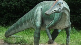 Saurolophus