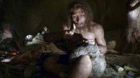 Neanderthals 