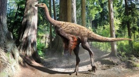 Illustration of Ornithomimus