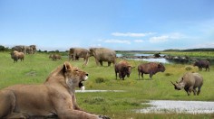 Pleistocene Landscape