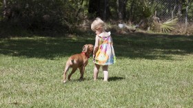 Child and Dog 