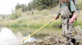 Fish biologist Peter Moyle, shown above at Martis Creek