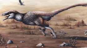 Dakotaraptor 