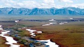  Arctic National Wildlife Refuge