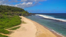 Natural Shoreline