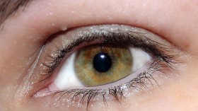 eye 