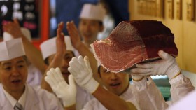 Kiyomura Co's sushi chefs react to a part of a 222 kg (489 lbs) Bluefin tuna after cutting its meat at the company's sushi restaurant outside Tsukiji fish market in Tokyo January 5, 2013