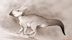 Rare Horned Ceratopsian Dinosaur