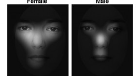 Scanning pattern of female versus males