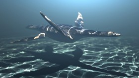 Plesiosaur