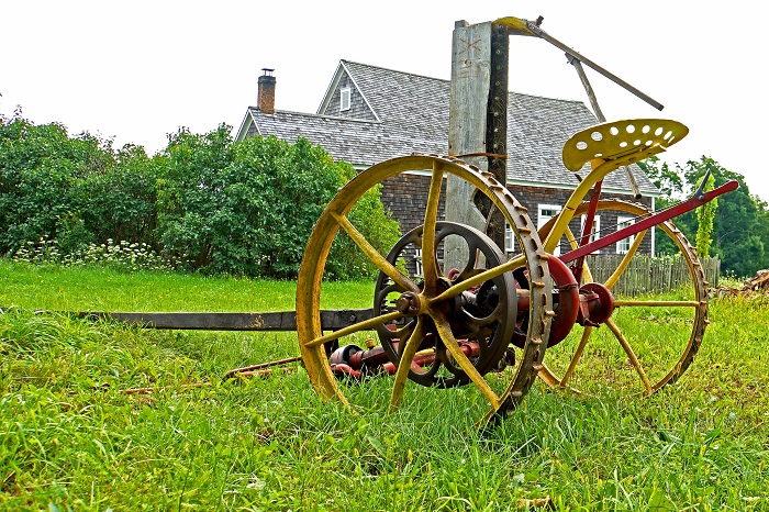 Humans And Farming Environment Was Altered Long Before Industrial   Farming 