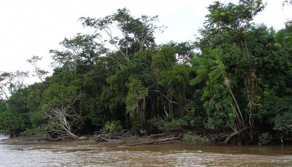 Amazon River 