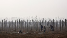 Decades of pollution from it and similar plants - Tianying once accounted for half of China's total lead output - has made much of the town's land uninhabitable and its water undrinkable. 