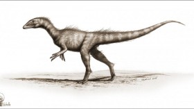 Dracoraptor hanigani