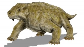 Pareiasaur 