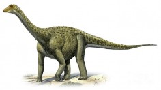 Titanosaur 