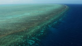 Great Barrier Reef Now Irrepairable