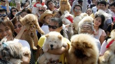 Dog owners hold up their pets to be blessed before a dog fashion show advocating animal rights in Quezon City in Metro Manila August 26,2012.