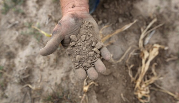 Historic Drought Cripples Farms And Ranches In American West