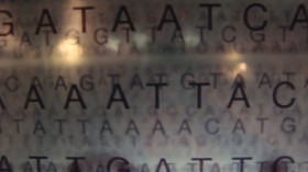 Layered panes of glass with letters of genetic code