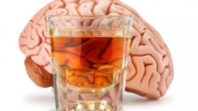 Researchers were able to identify and deactivate a brain pathway linked to memories that cause alcohol cravings in rats