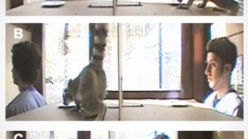  In a series of stills taken from videotaped experiments, Duke undergraduates Joel Bray (left) and Aaron Sandel test a ringtailed lemur's willingness to take food from a watched or unwatched plate.