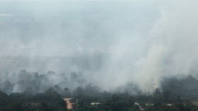 An aerial view of smoke rising from burnt trees during haze in Indonesia's Riau province June 28, 2013.